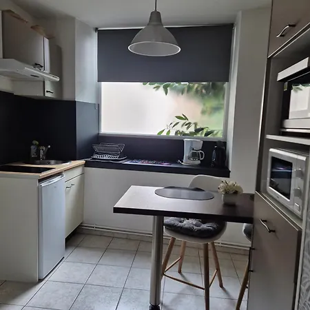 Apartment 1 Rue Des Romains Meuble Clauss Niederbronn-les-Bains