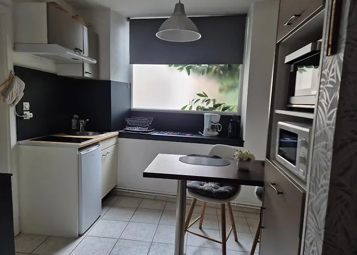 Appartement 1 Rue Des Romains Meuble Clauss Niederbronn-les-Bains