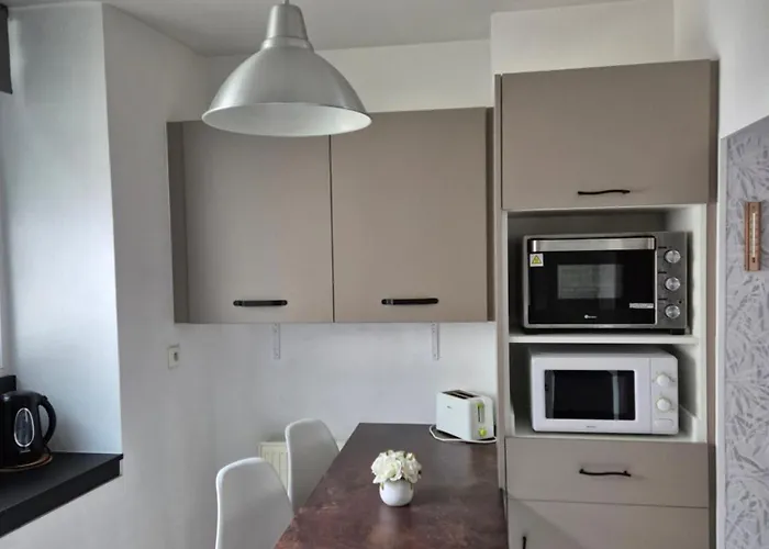 1 Rue Des Romains Meuble Clauss Appartement